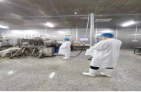 公司聘請專(zhuān)家對隆鑫菲特進(jìn)行職業(yè)危害因素檢測