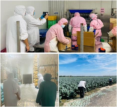 韓國客戶(hù)如期進(jìn)行年度訪(fǎng)問(wèn)