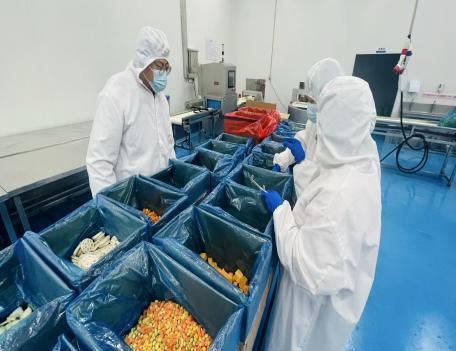 韓國客戶(hù)對健達公司進(jìn)行實(shí)地考察